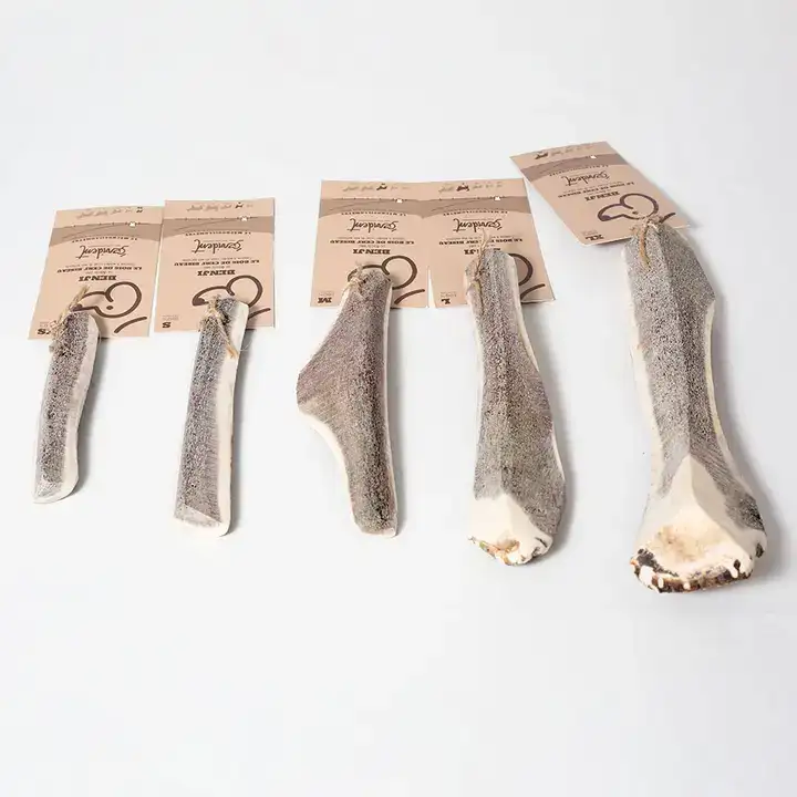 TOBY - Bois de cerf tranché - Evident