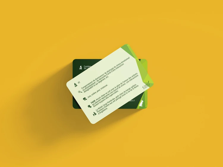 JEU : Le chien, cet animal qui nous échappe - Audrey Ventura