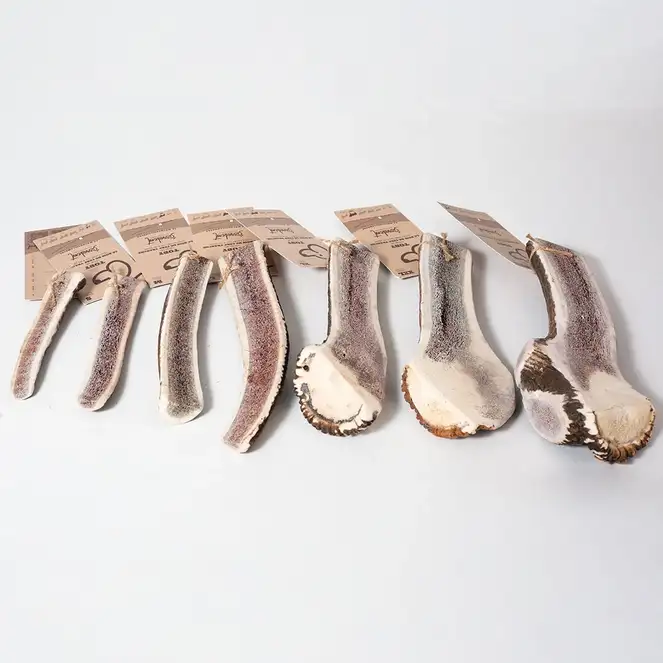 TOBY - Bois de cerf tranché - Evident