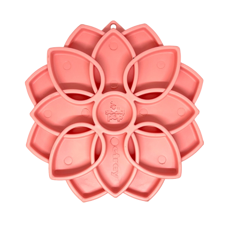 Gamelle Mandala SODAPUP