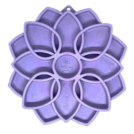 Gamelle Mandala SODAPUP