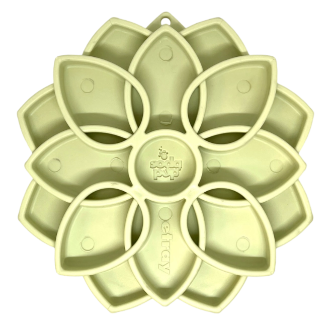 Gamelle Mandala SODAPUP