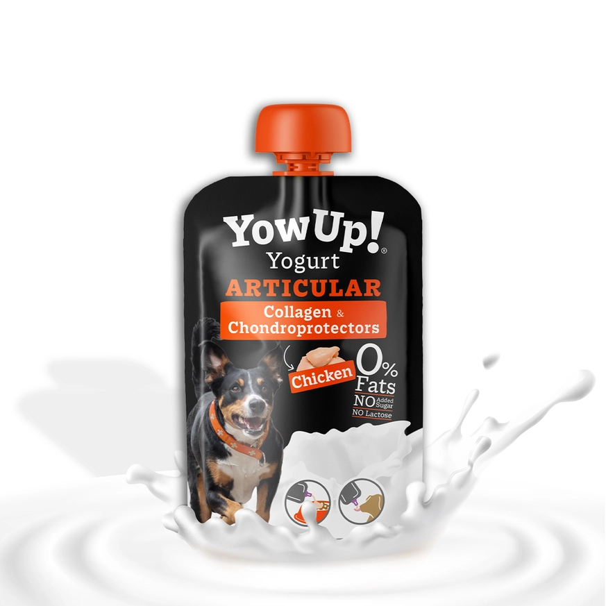 YowUp yaourt naturel - Collagène et Chondroprotecteurs