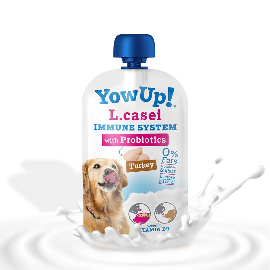 YowUp yaourt naturel - Probiotiques