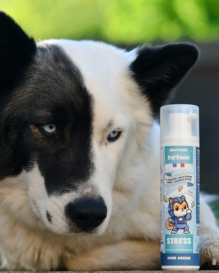 Pat’Panic - Woof'tastic