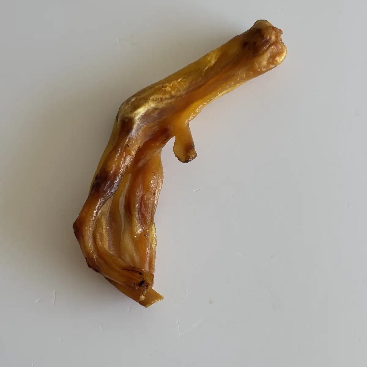 Patte de Canard