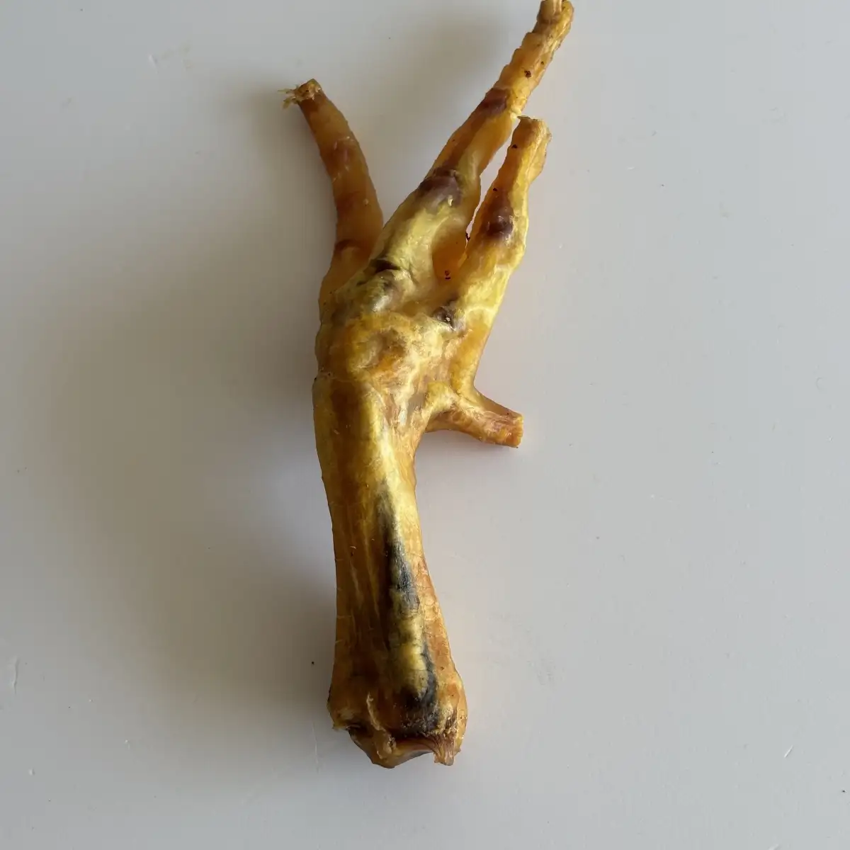 Patte de Poulet