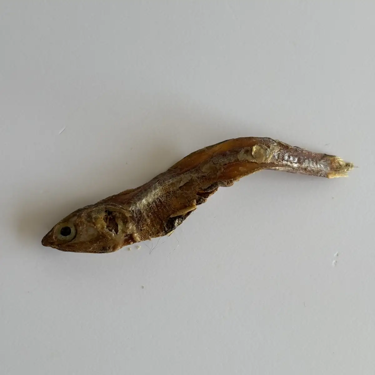 Sprats - 100g