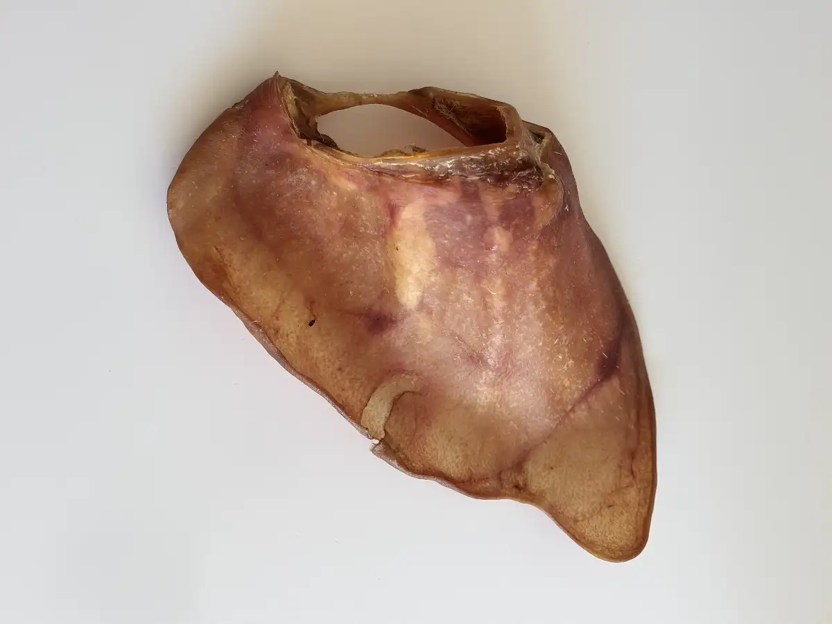 Oreille de Porc