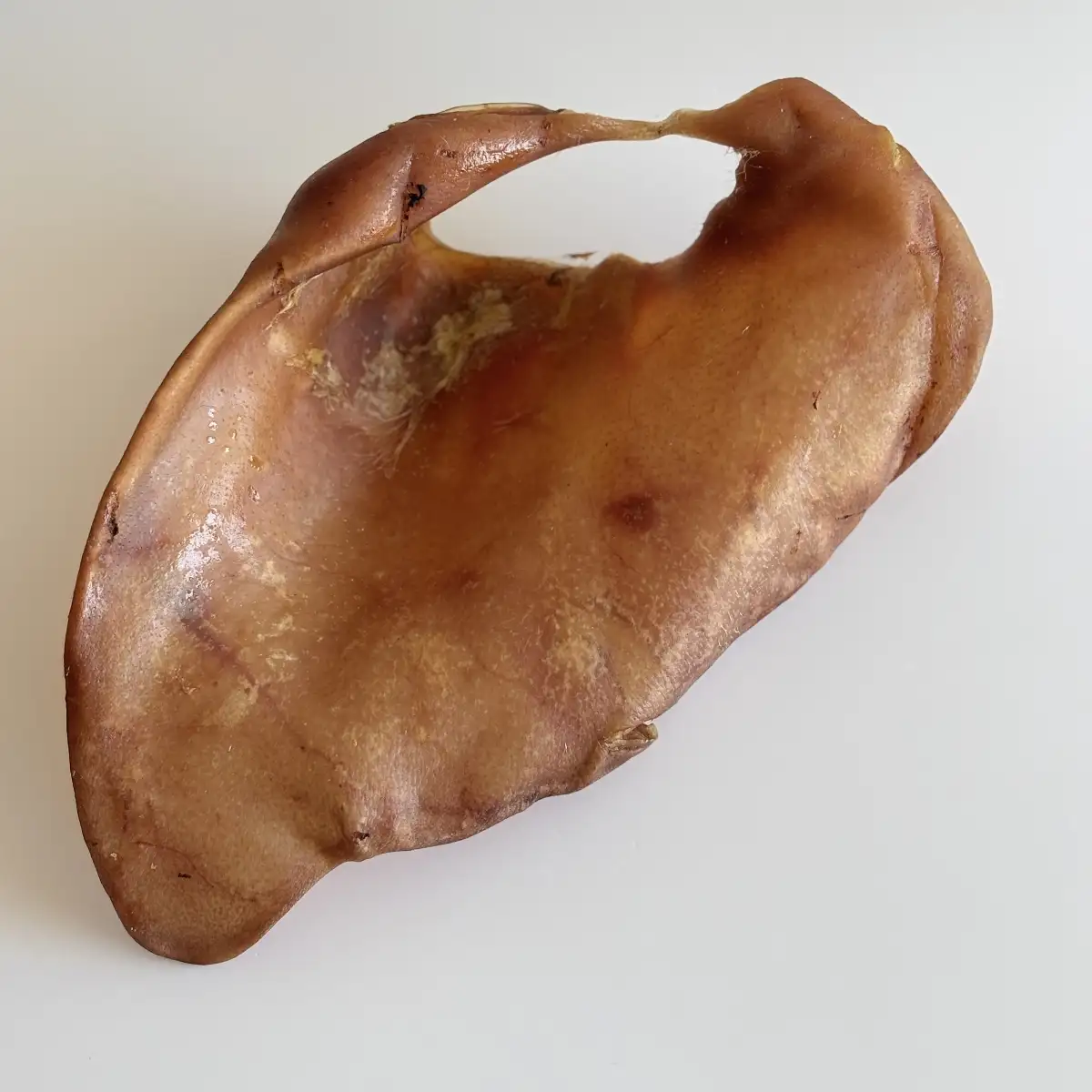 Oreille de Porc