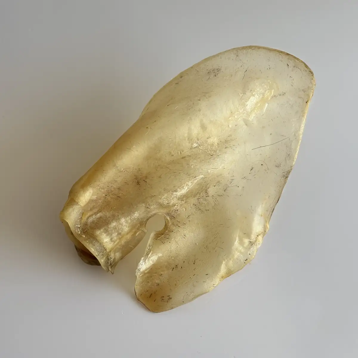 Oreille de Boeuf