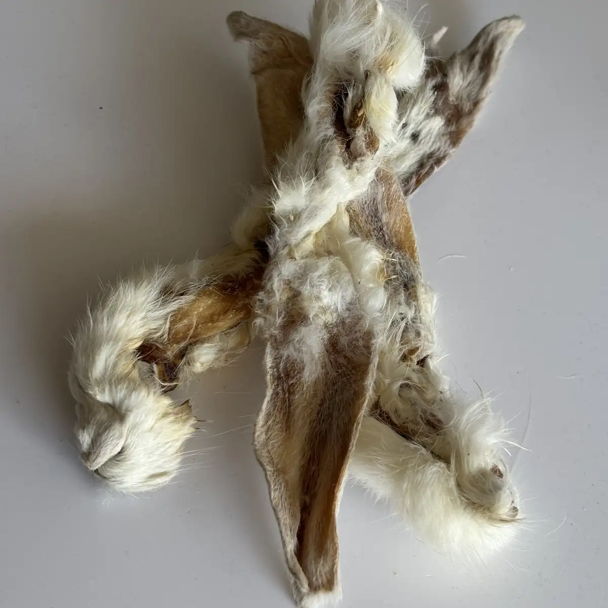 Oreille de Lapin avec poils - 100g