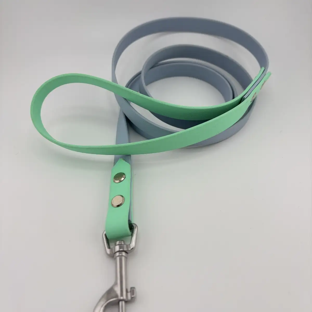 Laisse classique Biothane 1,50m