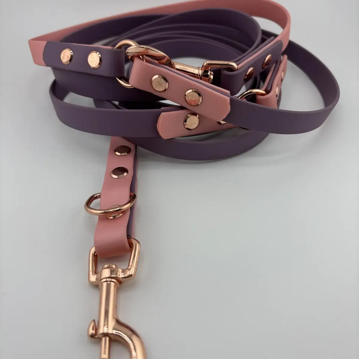 Laisse 3 points Biothane