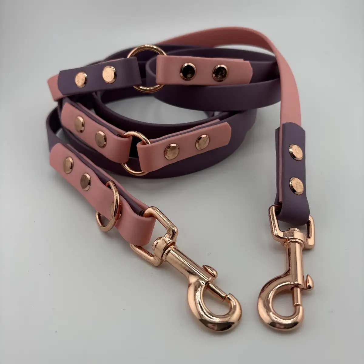 Laisse 3 points Biothane