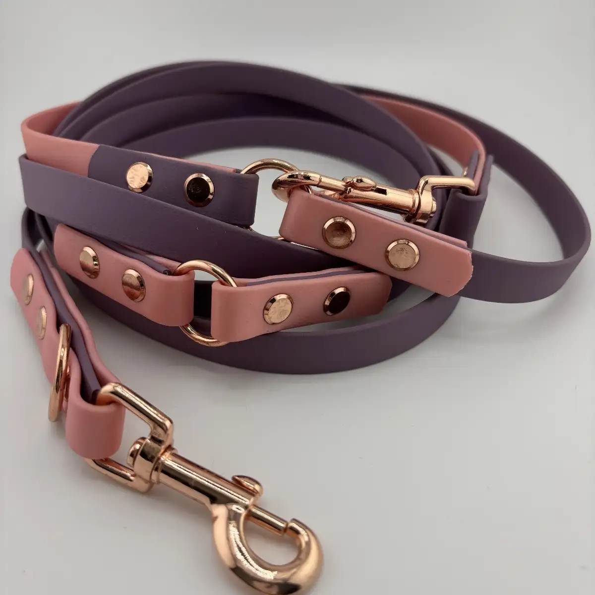 Laisse 3 points Biothane