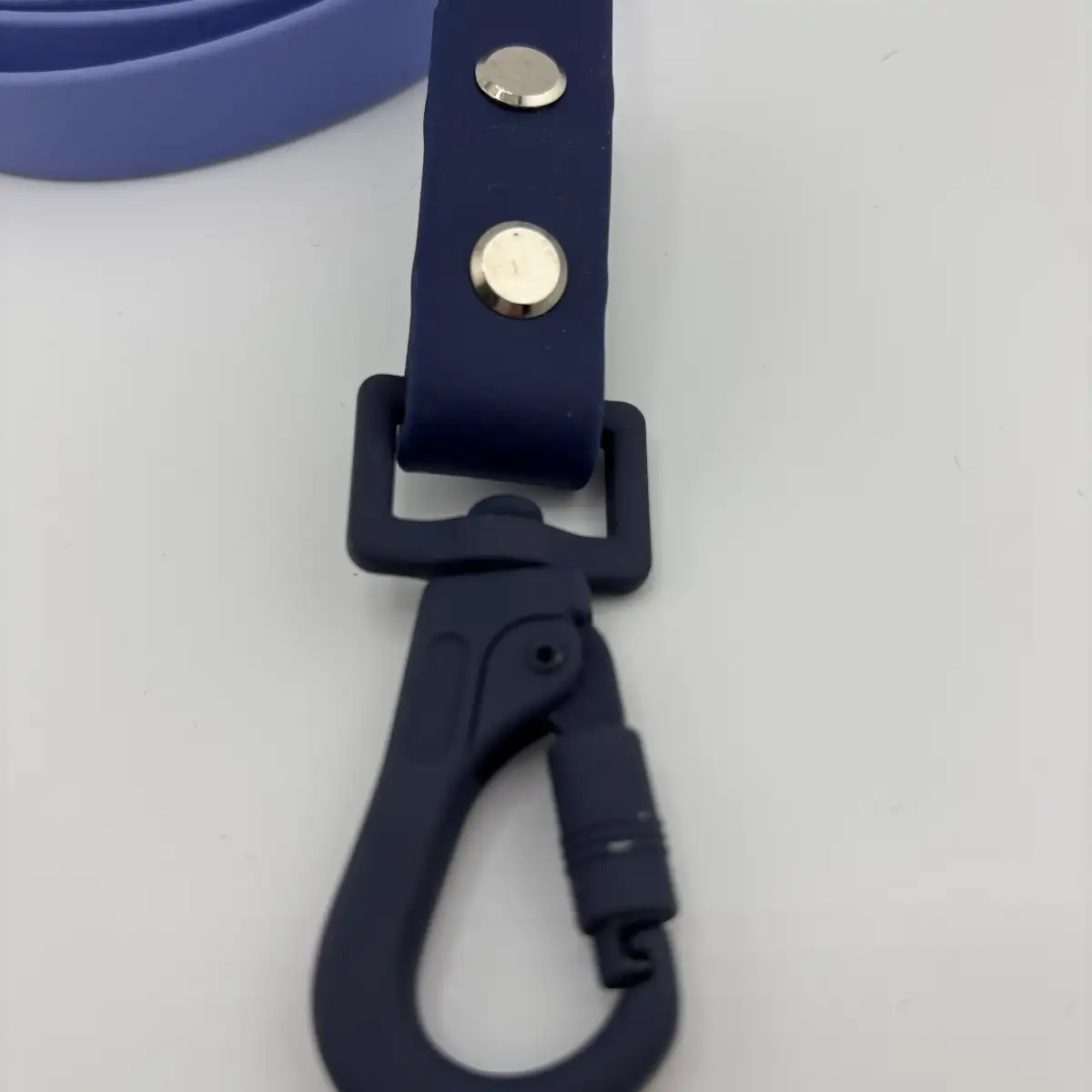 Laisse classique Biothane 1,50m