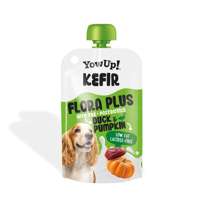 YowUp yaourt naturel - Kefir